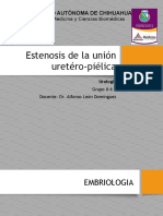 Estenosis de la unión uretéro-piélica