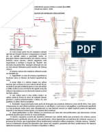 Resumo IVC - vascular