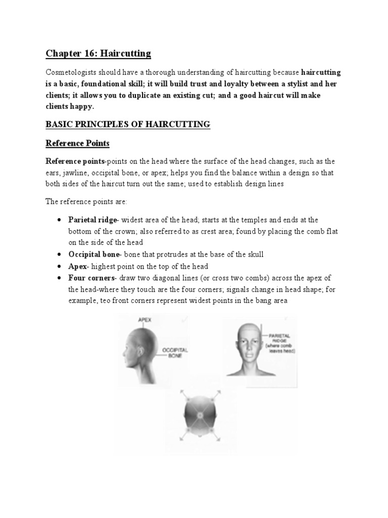 Haircutting | Download Free PDF | Scissors | Hairstyle