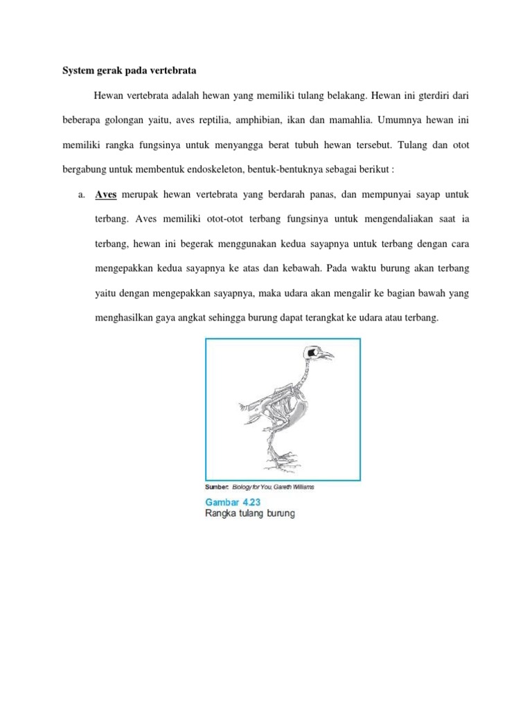 Hewan Vwertebrata Dan Invertebrata