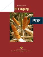 Pttjagung PDF