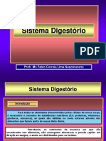 8 - Sistema Digestório