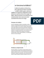 ¿Cómo funciona la diálisis_.pdf