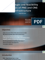 Challenges and Feasibility Analysis of PNG and CNG Infrastructure