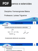 Aula 7 - Terpenos e Esteroides