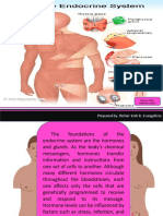 Endocrine System: Prepared By: Richer Irish B. Evangelista