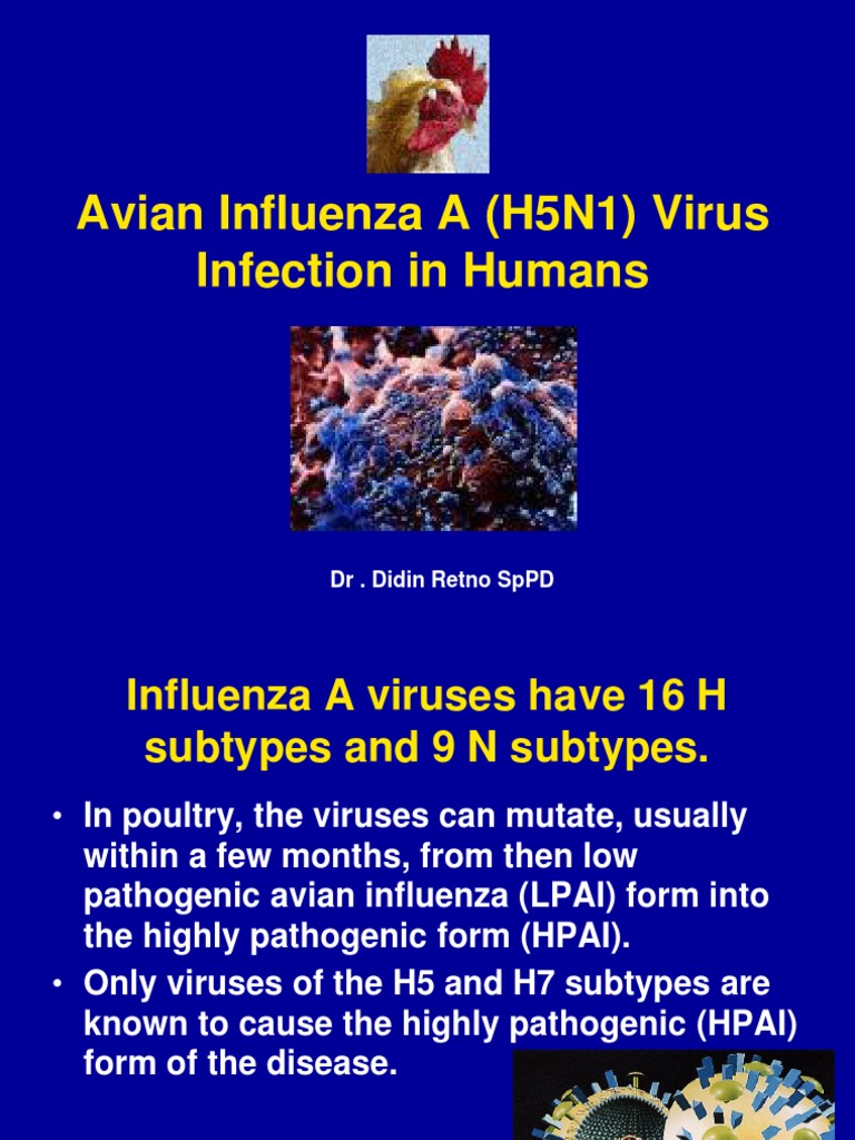 Avian Influenza A (H5N1) Virus Infection in Humans: DR - Didin Retno ...