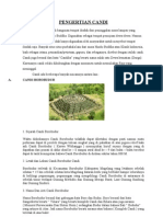 Download PENGERTIAN CANDI by Faiz Dhyfa SN38612431 doc pdf