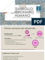 Desarrollo Embrionario Humano - Embriolog