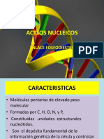 Acidos Nucleicos Ceprunsa 2017