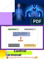 Control Hormonal