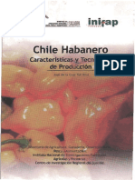 TEC PRODUCC HABANERO MEX.pdf
