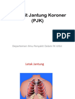 Penyakit Jantung Koroner