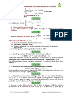 Diferenciabilidad PDF