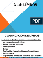 Lipidos