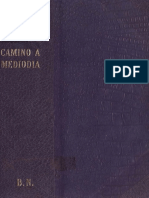 Camino-a-mediodia-Carmen-Naranjo.pdf