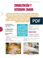 1417rehabilitaperros PDF