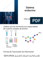 Sistema Endocrino