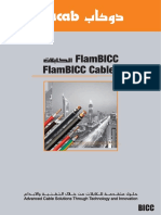 Flam BICC for web.pdf