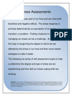 SocialServices_StressAssessments.pdf