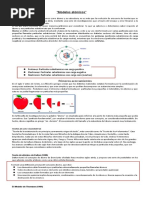 Guia 8 Modelos Atomicos 8os
