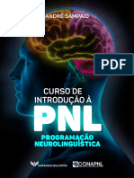 Curso Introducao A PNL - Andre Sampaio PDF