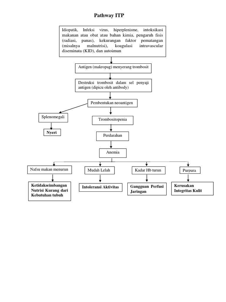 Pathway Itp Pdf