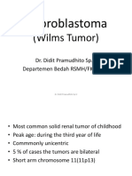 Neproblastoma - Tumor Jinak Dan Ganas Pada Traktus Urologi 2-DIT