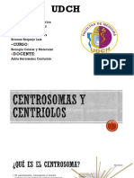 biología centriolos expo.pptx