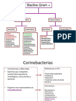 bacilosgrampositivosaerobiosnoesporulados-121011184624-phpapp02.pdf
