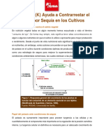 197 El Potasio Ayuda A Contrarrestar El Estres PDF