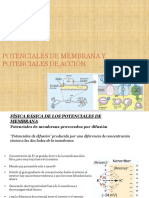  Potenciales de membrana y potenciales de acción