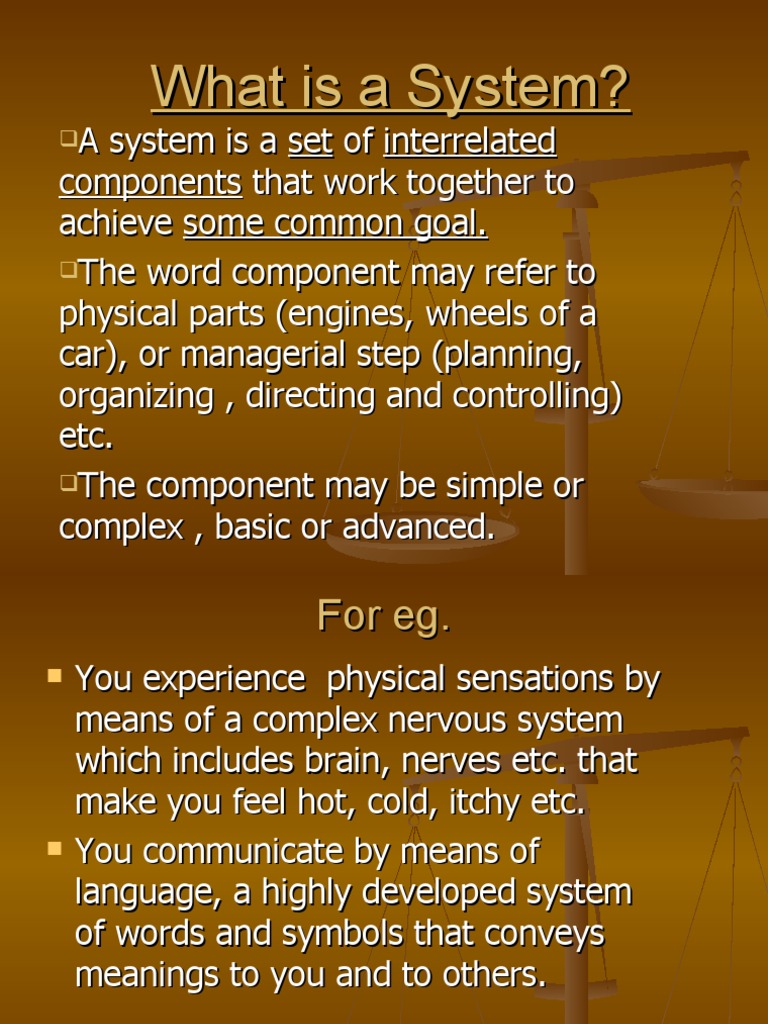 What Is A System? | PDF | System | Input/Output