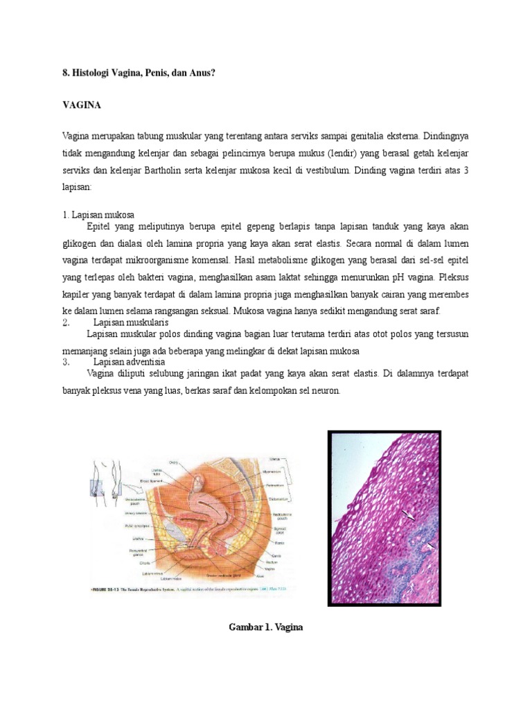 Erotik qolda chizilgan blowjob rasmlari