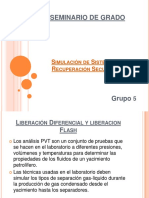 Liberacion Flash PDF