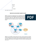 Ospf Investigacion