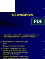 06 Gastrulationtxt
