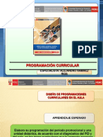 PROGRAMACION-CURRICULAR-EN-EBA.pdf