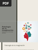 Patología de La Imaginación