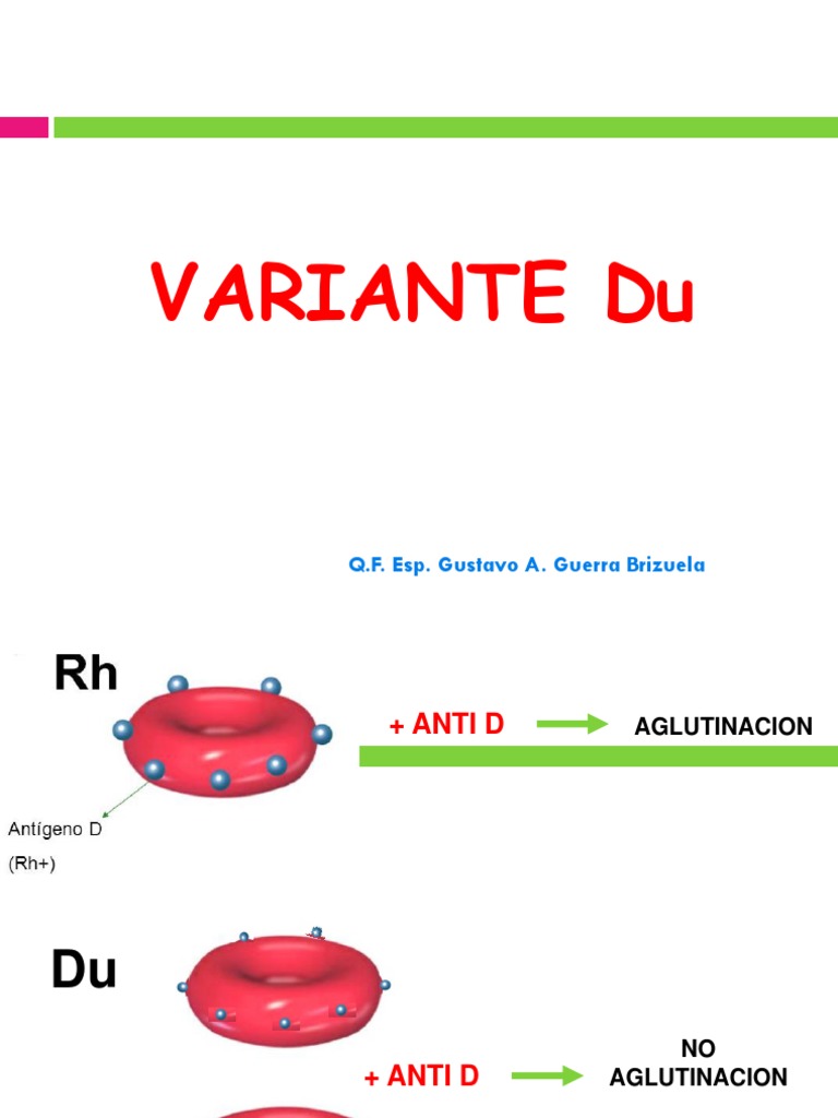 Variantes del Antígeno Du en Sangre Rh | PDF | Inmunología | Medicina ...