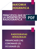 Radiografía 