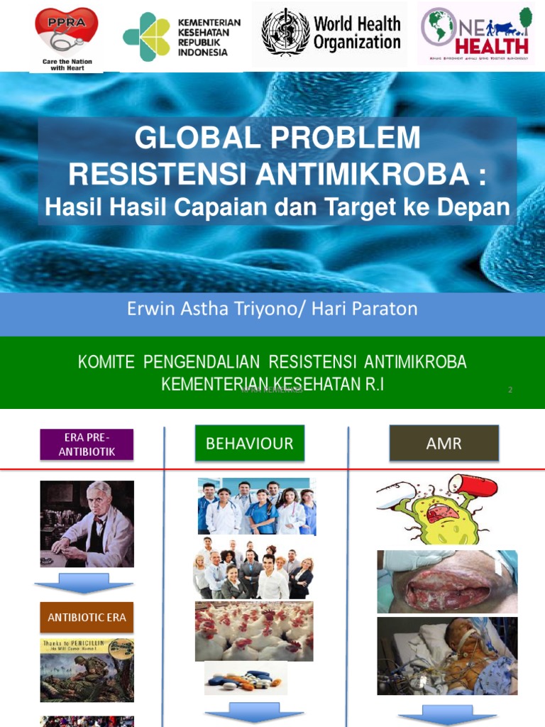 Antimicrobial Resistance in Indonesia: Challenges and Strategies | PDF ...