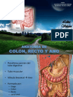 Anatomacolonanoyrecto 120329133913 Phpapp01