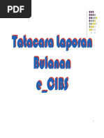 Tatacara Laporan Bulanan E_CIBS FY2011