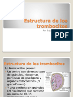 Estructura de Los Trombocitos
