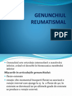 Curs - Genunchiul Reumatismal