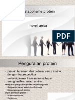 metabolismeprotein-171020092402.pdf