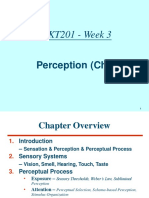MKT201 - Week 3: Perception (Ch. 2)