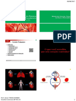 Anatomia Do Sistema Circulatório 2017 PDF