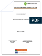 Hálózatiismeretekvlsm PDF